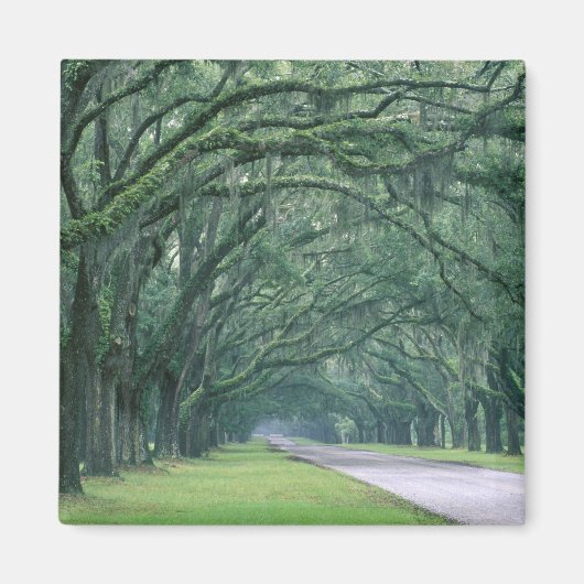 Aimant Amérique du Nord, États-Unis, Géorgie, Savannah, (Devant)