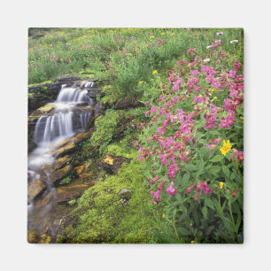 Aimant Amérique du Nord, États-Unis, Montana, Glacier N