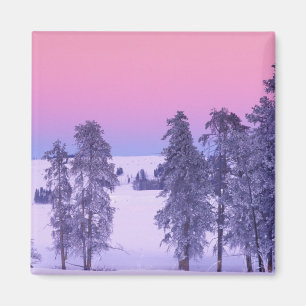 Aimant Amérique du Nord, États-Unis, Montana, Yellowstone