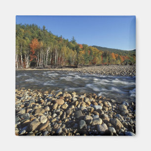 Aimant Amérique du Nord, États-Unis, NH, Une plage de gal