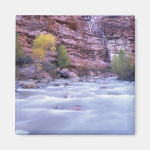 Aimant Amérique du Nord, États-Unis, Utah, Parc national