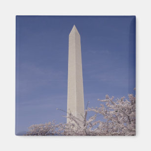 Aimant Amérique du Nord, États-Unis, Washington D.C.. Was