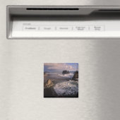 Aimant Amérique du Nord, États-Unis, Washington, Pôle oly (In Situ (Lave-vaisselle))