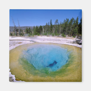 Aimant Amérique du Nord, États-Unis, Wyoming, Yellowstone