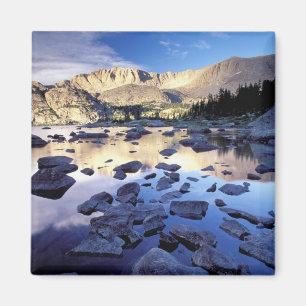Aimant Amérique du Nord, États-Unis, Wyoming, Yellowstone