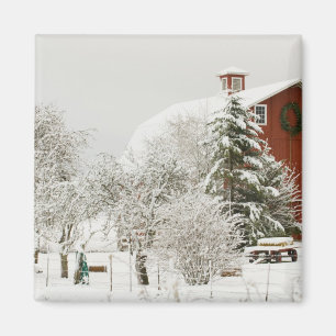 Aimant Amérique du Nord, USA, WA, Whidbey Island.