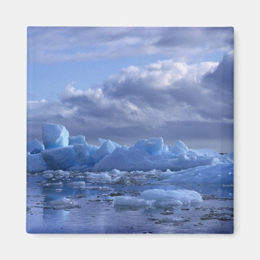 Aimant Amérique du Sud, Chili, San Rafael Lagoon NP. (Devant)