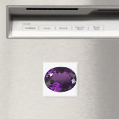 Aimant Amethyst Gemstone (In Situ (Lave-vaisselle))
