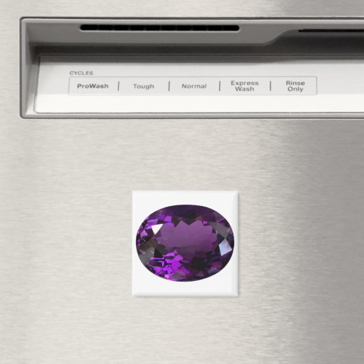 Aimant Amethyst Gemstone (In Situ (Lave-vaisselle))