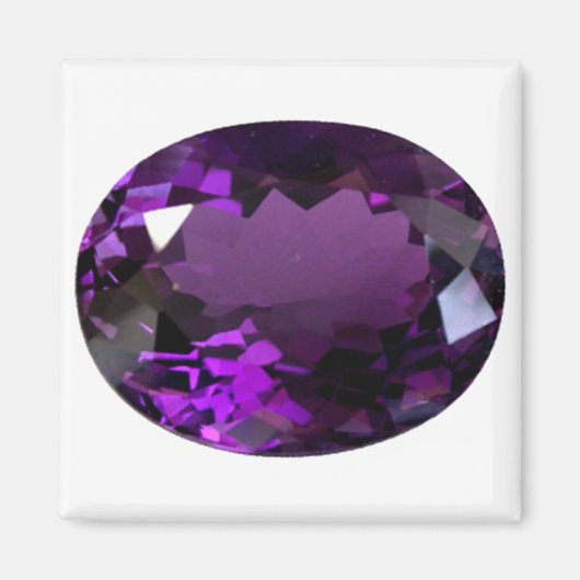 Aimant Amethyst Gemstone (Devant)