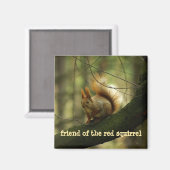 Aimant Ami de l'écureuil roux/ami de l'écureuil rouge (Recto/Verso)