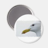 Aimant Amical Seagull ? (Recto/Verso)