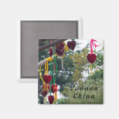 Aimant Amidon, Zhonghe - Yunnan, Chine (Recto/Verso)