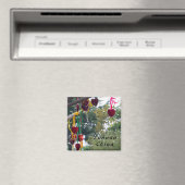 Aimant Amidon, Zhonghe - Yunnan, Chine (In Situ (Lave-vaisselle))