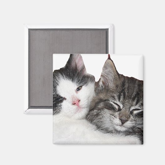 Aimant Amis (Recto/Verso)