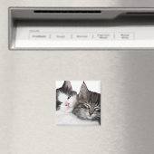 Aimant Amis (In Situ (Lave-vaisselle))