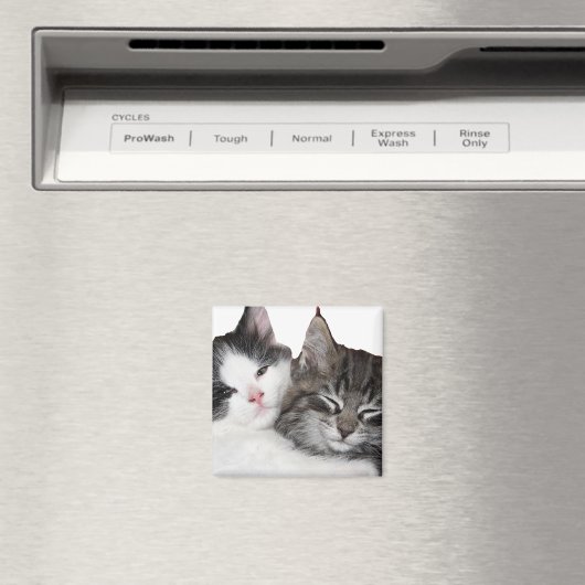 Aimant Amis (In Situ (Lave-vaisselle))