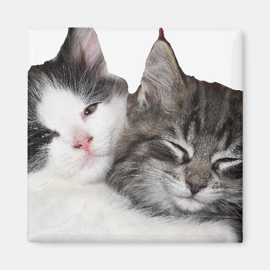 Aimant Amis (Devant)