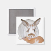 Aimant Amis (Recto/Verso)