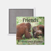 Aimant Amis carré (Recto/Verso)
