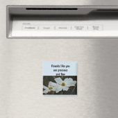 Aimant Amis comme vous aimant, (In Situ (Lave-vaisselle))