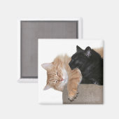 Aimant Amis de câlin (Recto/Verso)