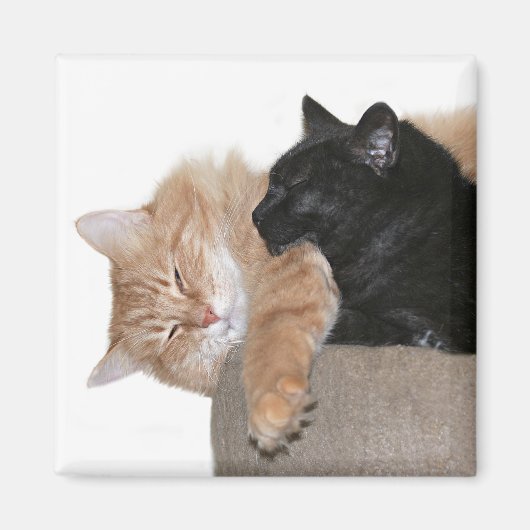Aimant Amis de câlin (Devant)