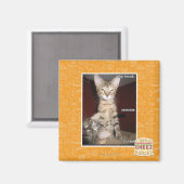 Aimant Amis Idiot (Recto/Verso)