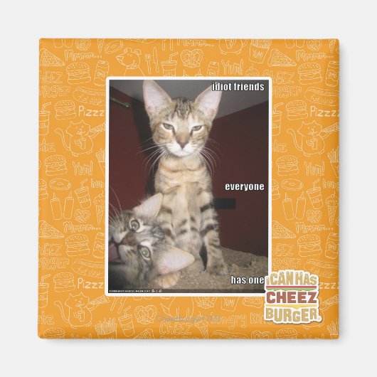 Aimant Amis Idiot (Devant)