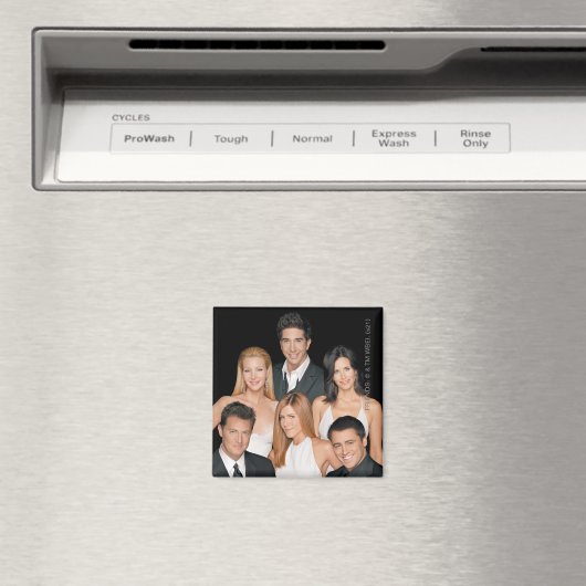 Aimant AMIS™ | Pâte dans le Closeup d'usure formelle (In Situ (Lave-vaisselle))