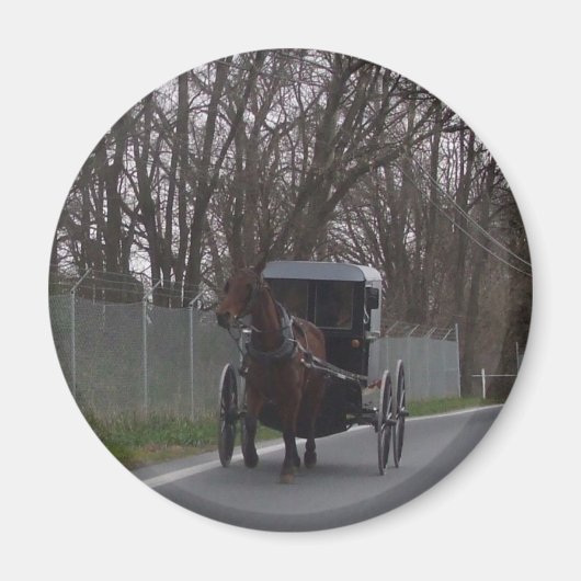 Aimant Amish Buggy (Devant)