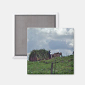 Aimant Amish Harvest (Recto/Verso)