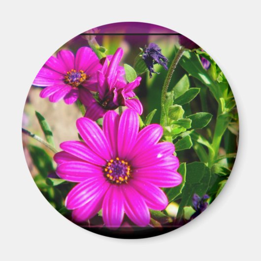 Aimant Amitié (Devant)