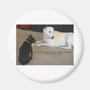 Aimant Amitié des chiens