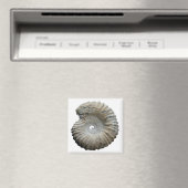Aimant ammonite (In Situ (Lave-vaisselle))