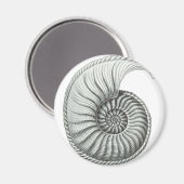 Aimant Ammonite (Recto/Verso)