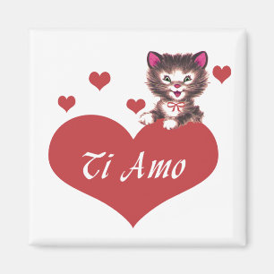 Aimant AMO de Ti