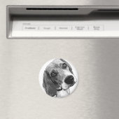 Aimant Amour beagle (In Situ (Lave-vaisselle))