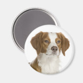 Aimant Amour chiot Brittany Spaniel (Recto/Verso)