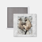 Aimant Amour de chat (Recto/Verso)