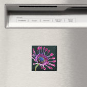 Aimant amour de marguerite (In Situ (Lave-vaisselle))