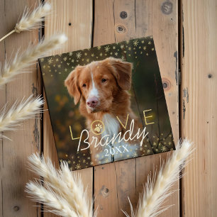 Aimant Amour et souvenirs Photo Mémorial des animaux de