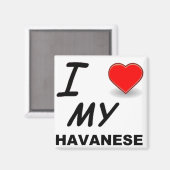 Aimant amour havanais (Recto/Verso)