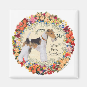 Aimant Amour pour le Fox-Terrier à poil dur
