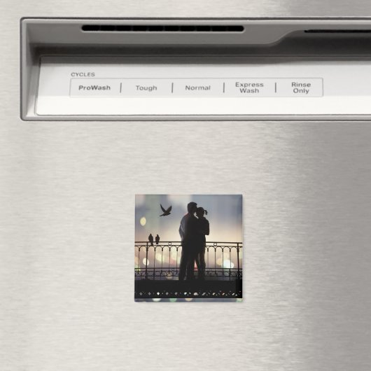 Aimant Amoureux (In Situ (Lave-vaisselle))