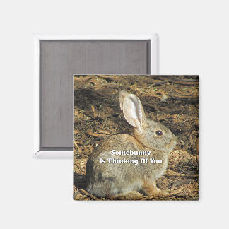 Aimant Amoureux de lapins Pensée Pour Vous Citation Ludiq