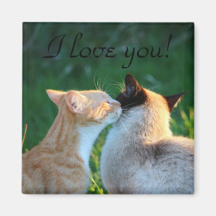 Aimant Amoureux de les chats baiser de chat
