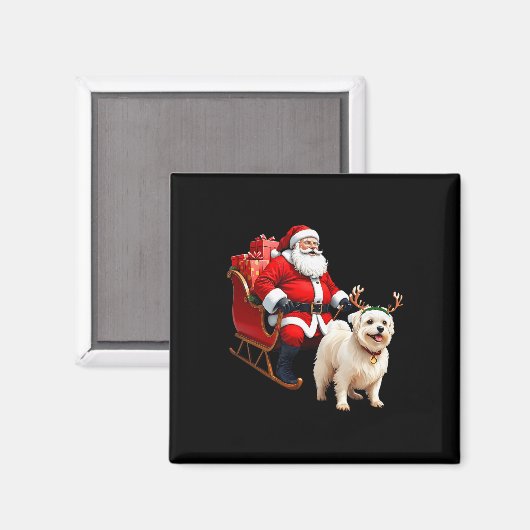 Aimant Amoureux des chiens animal Père Noël Sleigh Maltes (Recto/Verso)