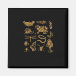 Aimant Amoureux vintage de goblincore champignon grenouil