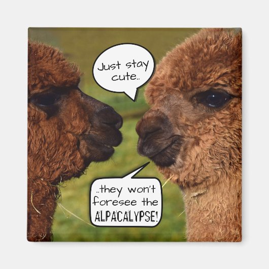 Aimant Amusant Alpaca Alpacalypse schéma (Devant)